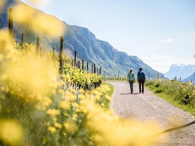 1905-montan-pfitscher-204137