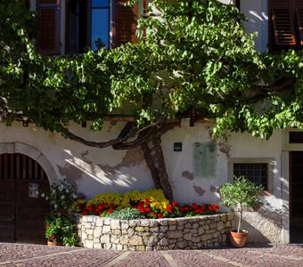 alte-rebe-margreid