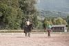 Pferde & Reiten