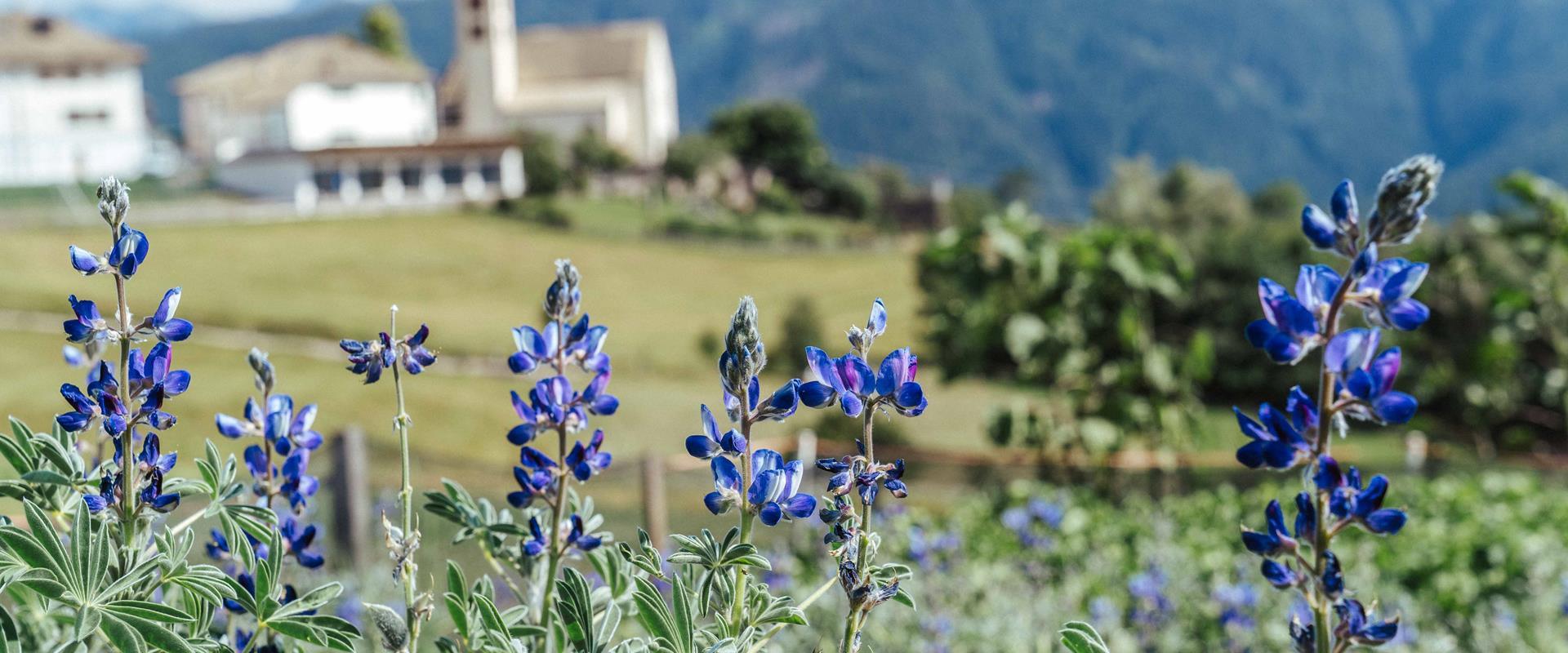 Südtirols hoher Süden