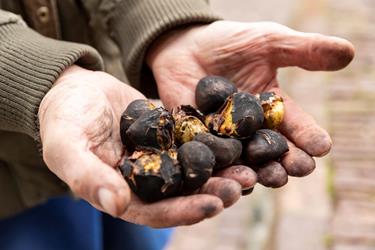 2019.11_IDM_Toerggelen-77