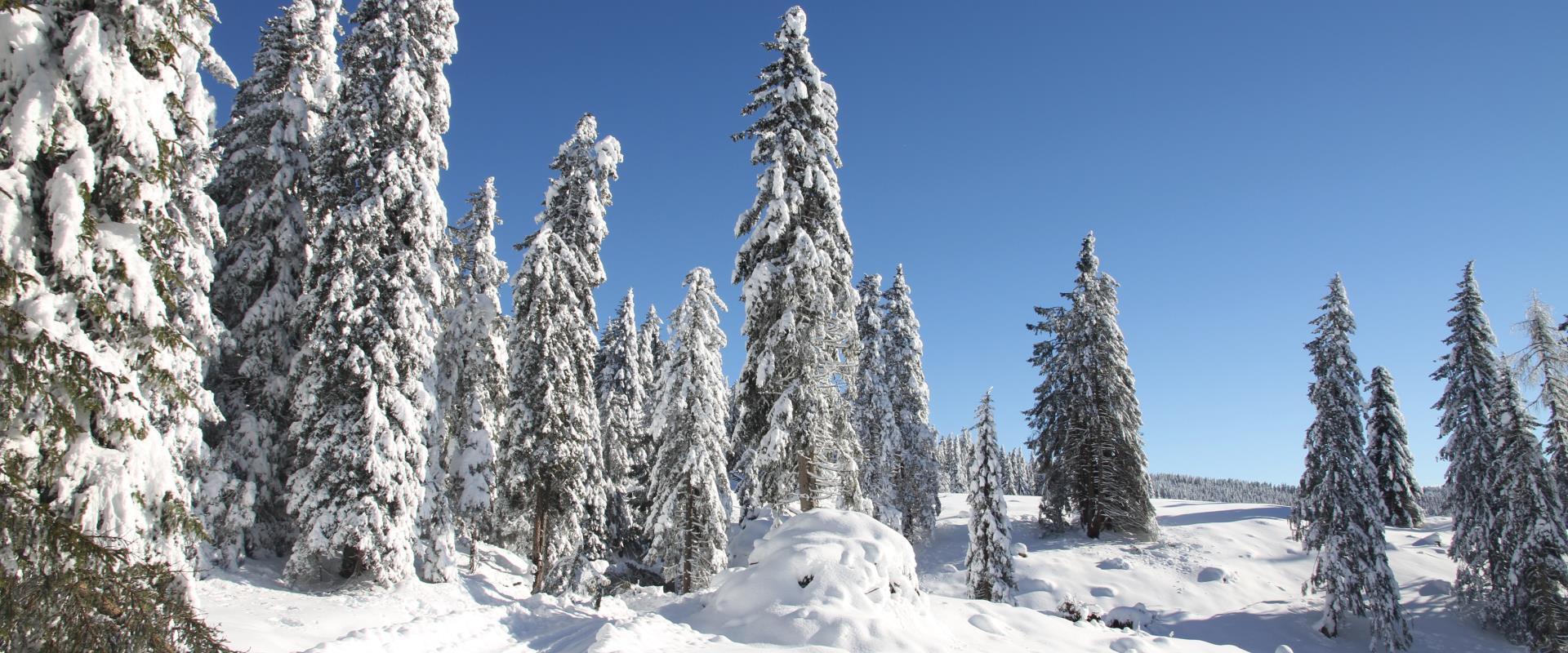 Winter und Sonne in Mölten