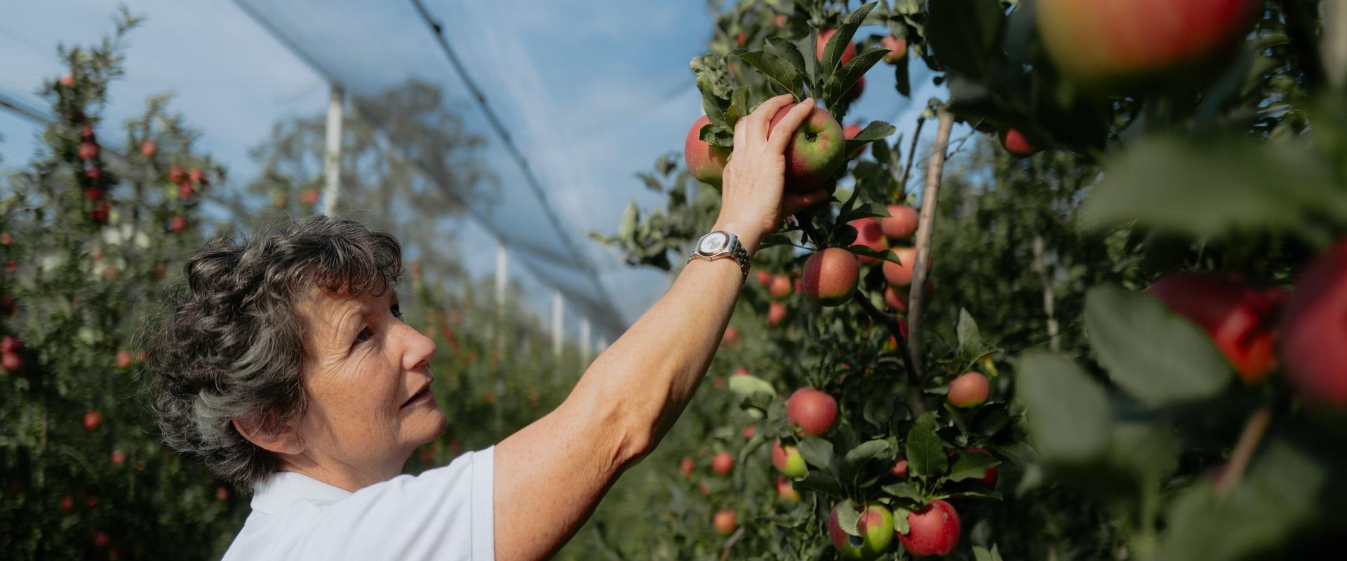 Langeweile? Nicht bei uns!