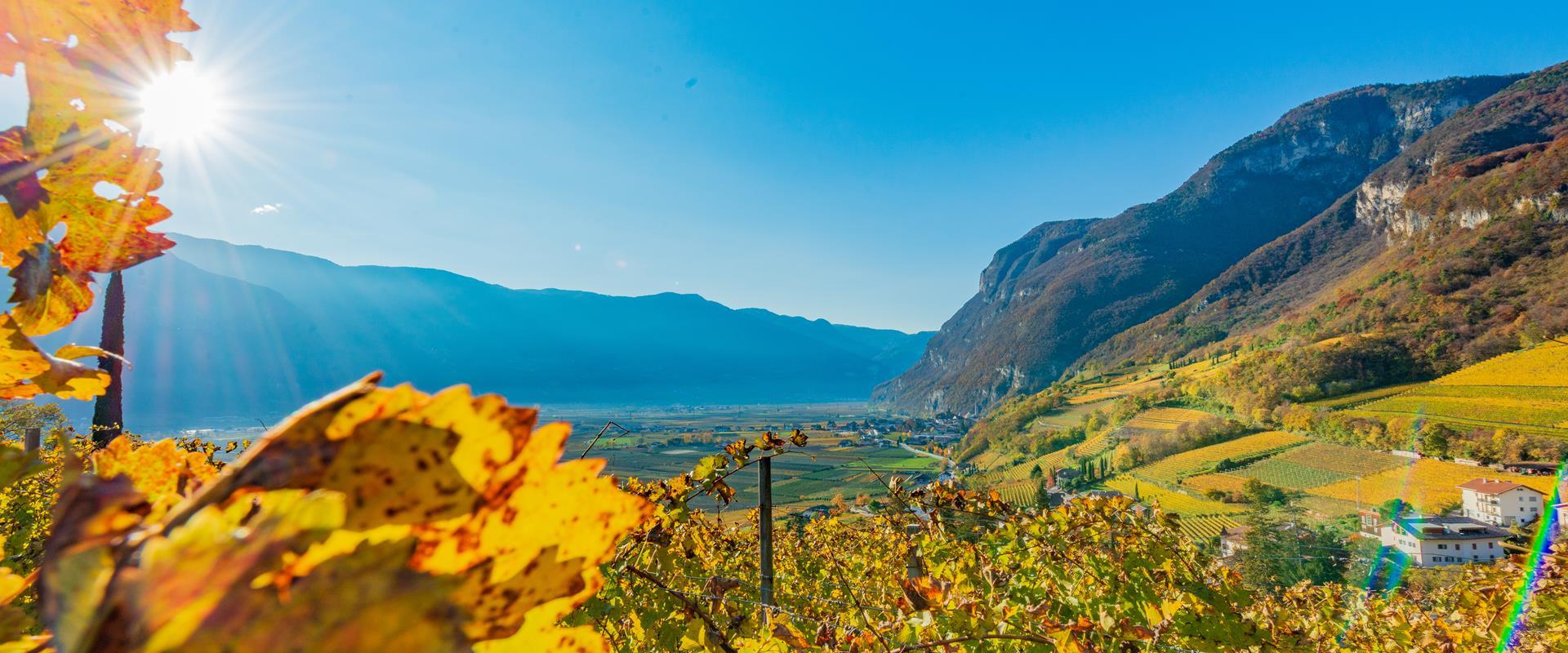Goldener Herbst