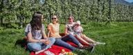Sommer, Sonne und unvergessliche Erlebnisse